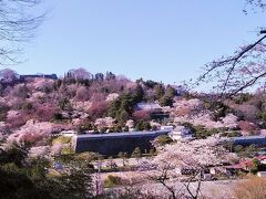 二本松城＝霞ヶ城のお気に入りの桜の風景は、二本松城の前の小高い遊歩道から見る風景です！箕輪門に城が桜色で美しいですね！

二本松の桜を楽しんでホテルに戻ります