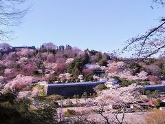 二本松城＝霞ヶ城のお気に入りの桜の風景は、二本松城の前の小高い遊歩道から見る風景です！箕輪門に城が桜の霞の中にあるようで美しいですね！

二本松の桜を楽しんでホテルに戻ります