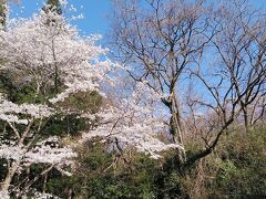 福島市立信夫中学校横から大森城に坂道をあがって行きます
