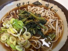 茅野駅の駅そばを食べて電車で帰途につきました。