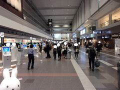 久し振りに東京羽田空港の第１ターミナルへやって来ました(^_-)-☆。
今回の利用するフライトはＪＡＬ、四国の徳島へ行くので南ウイングです。

リニューアルされて装いも新たになったみたい。
チェックイン機もあっちこっちありますねぇ(゜_゜)。