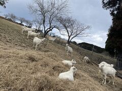 千葉県酪農のさと