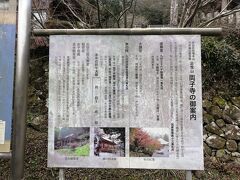 1番目の訪問地、両子寺。
https://visit-kunisaki.com/spot/%E4%B8%A1%E5%AD%90%E5%AF%BA/

半島の真ん中の頂上あたりにあり。

・敷地が広い
・有名な寺なのか、拝観料が300円だった。
