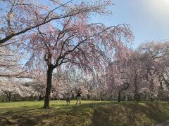 羊山公園