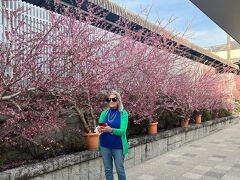 塩山駅の横に桃の花が咲いてましたー
例年は桜の次が桃なんだけど
今年は場所にもよるけど、一緒に咲いてました