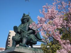 キレイな青空と桜の花に信玄さん

すっかり春となり､おでかけ日和です