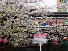 振り返れば、ちょうどカラフルな東横線がホームに滑り込んできた。

英語表記の注意書きが外国人の多さを物語る。