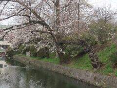 高崎城址