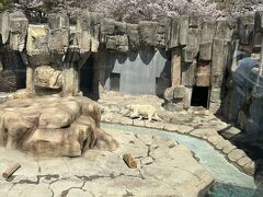 神戸市立王子動物園