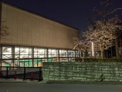 県立図書館の桜