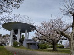 やってきました桜咲く時期。ここ数年早まっていた開花時期が今シーズンは大幅に遅れ，久し振りの4月の桜の満開です。
早速，野島山の展望台へ。