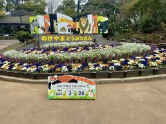 野毛山動物園