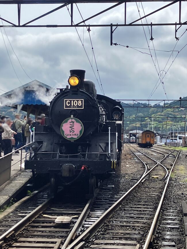 大井川鐵道大井川本線『SLさくら号』に乗車して家山駅『桜