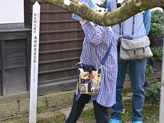 通り沿いには村の名前にちなんで新庄選手（元阪神、現日ハム監督）の足形が。