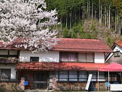 石州瓦だろうか、屋根の紅と桜が印象的だ