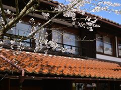 この辺りは石州瓦が多い。赤い瓦に桜が映える