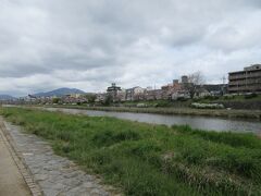 花曇りの空の下、対岸の花の回廊と京の街並みを見ながら休憩しました。