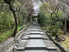 次は高台寺へ。