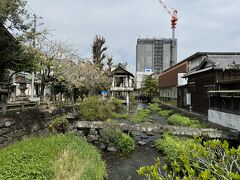 桜家のすぐ横にある時の鐘
（特に、説明書きなどはありませんでした）