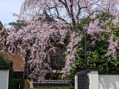 最終目的地は綺麗なお庭のある、三田線本蓮沼駅近くの南蔵院さんです。