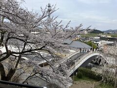 お城の桜が