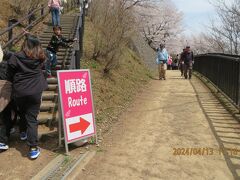 新倉山浅間公園