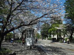 元町公園前の電話BOXと桜

山手２３４番館前にある電話BOXが絵になりますね。