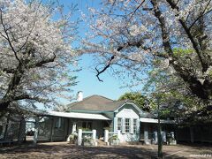 山手公園　旧山手６８番館のさくら