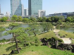 4月中旬、ソメイヨシノが散り始めの旧芝離宮恩賜庭園に行きました。八重桜が満開できれいでした。黄緑色のギョイコウ桜は新緑の木々の中目立ちませんでしたが、可憐で美しく、紅をさした開いた花は魅力的でした。大山から大泉水を眺めました。