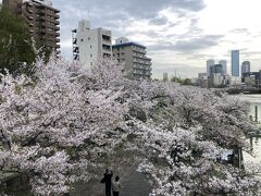 今回の予約は、最終日の4月11日18時00分からですが、予約受付開始から休日はどんどん埋まっていきます。
また、夕方も会社帰りの方々が多いのか、順調に埋まってましたが、無事確保できました。

職場を17時半過ぎに出て、天満橋駅に18時前に到着。。。
奥様と天満橋駅で合流し、造幣局に向かいます。

今年は大川沿いの桜も、まだ残っていました。