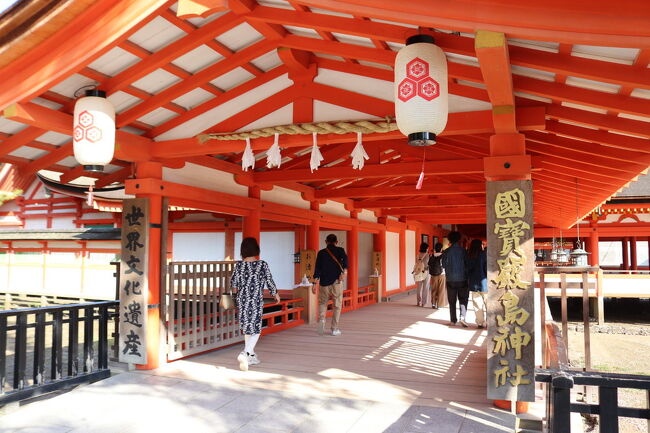 JR　国鉄　行先板　宮島観光号 JR 国鉄 行先板 宮島観光号