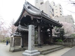 本郷通りを駒込方面へ10分ほど歩いたところの吉祥寺に行きました。戦火で多くの建築物が焼失し、木造山門と経蔵が残りました。木造瓦屋根の山門と築地塀を眺めました。山門前に手入れされている松と桜があります。桜がきれいに咲いていました