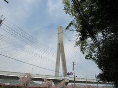 【新猪名川大橋】

池田駅から路線バスで「中橋」で下車。
そこから五月山西側から登ります。

阪神高速11号池田線で猪名川にかかる橋。
・コンクリート製斜張橋として国内最大級の"ビッグハープ"
・景観にも配慮した、耐震性に優れた逆Y字主塔
・耐震設計の基本方針
阪急電車宝塚線に乗ると「川西能勢口」と「池田」駅間の遠くに見える橋ですが、
近くで見るとカッコイイです！

