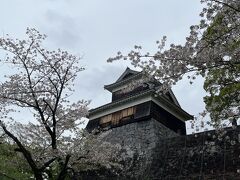 桜とお城