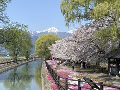 安曇野の道の駅ほりがねの里の近くの絶景ポイント「じてんしゃひろば」からの常念岳、桜、芝桜の今の季節限定の三重奏です♪
