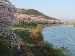 …桜の満開時には、大河原町方向へと続く白石川堤一目千本桜の並木道がピンクの帯のよう。

画像奥の山は明治維新まで柴田氏が居住した館跡があった船岡城址公園で、てっぺんに立つ船岡平和観音像も写っています。
この画像で見えるかな？