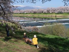 …白石川の途中に造られた韮神堰（にらがみぜき）も徐々に見えてきます。
これは元々は昭和26年に造られた取水施設なんですが、今では蔵王三十六景の一つに選ばれ、人気の撮影スポットにもなっています。

お天気の運に恵まれれば、この画像のように残雪の蔵王連峰＋対岸にもある白石川堤一目千本桜の並木道、それにこの韮神堰が一緒の写真が撮れるんですよ。

堤防沿いにもっとこんなベンチがあれば、この景色を眺めながら座って一休みが出来るんだけどな。