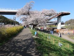 …白石川堤一目千本桜の並木道と船岡城址公園とを結ぶ≪しばた千桜橋≫という歩行者専用の橋で行けるんですよ。
通行無料です。

ここまで、JR船岡駅からだと徒歩30分、JR大河原駅からだと同じく40分ほど。
さくら祭期間中は、橋の下にキッチンカーや屋台、トイレも設置されるので一休みも出来ます。