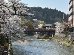中橋と桜。