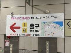 ソウルで桜といえばヨイドかなと思って、初めて地下鉄でやって来ました。