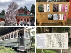 神社の参拝を終え、平安神社の桜の名所、神苑に向かいます。
神苑には、約20種類300本の桜があり、半数は八重咲きの紅しだれ桜です。

入口には、現在の桜の咲き具合が掲示されていました。

中に入ると、桜より目に入ったのが朽ちかけた路面電車････。
日本初の路面電車である「京都電気鉄道（京電）」が、市街地を走らせていた車両（京都市交通局二号電車）で、2020年9月に重要文化財に指定されているそうです。
交通史や科学技術史において、価値が高いと評価されたようですが、1911年梅鉢鉄工場で製造された１両編成の先駆的な国産車両で、国内の路面電車の規範になった車両のようです。
現存の京電車両群の内で、製造年代が最古級という事も指定の要因だったのでしょうが、このままでは朽ちてしまうように思います。