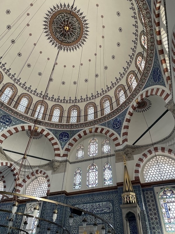 初トルコはニャンコ天国②1日目イスタンブール・旧市街』トルコ