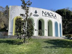 宮殿の先にあるMACKA PARK(マチカ公園)こそが真の目的でした。
ここは保護猫公園として有名だとネットで調べ済みです。

宮殿からは高台の方だったので、予想よりもたいへんな登坂が続く歩き道でした。