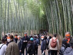 北門を出ると竹林の小径です。前回は東側から廻り半周して天龍寺の正門まで戻りましたが、今回は西側へ進み桂川方面へ抜け、渡月橋へ向かいました。こちらも相変わらずの人の波です。皆さん、やはり着ているものはほぼ冬の服装ですね。