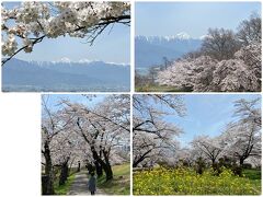 松本市のアルプス公園からの北アルプスの絶景です♪
桜も満開で菜の花とのコラボレーションもきれいでした♪