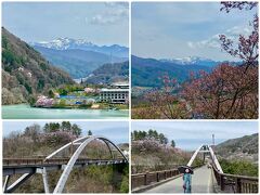 高遠湖の桜と南アルプスです♪