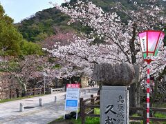 ●久松公園／鳥取城跡

しばらく市街地の中を歩いていくと、最初の目的地である「久松（きゅうしょう）公園」の入口へ到着しました。
石碑にあるとおり「鳥取城跡」に整備された公園で、県内でも有数の桜の名所となっており、「日本さくら名所100選」にも選定されています。