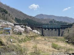 穴馬総社から道の駅九頭竜に向かいます。途中の鷲ダムです。桜が美しく植えられています。