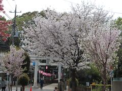 碑文谷八幡宮