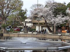 最後に清水池公園へ